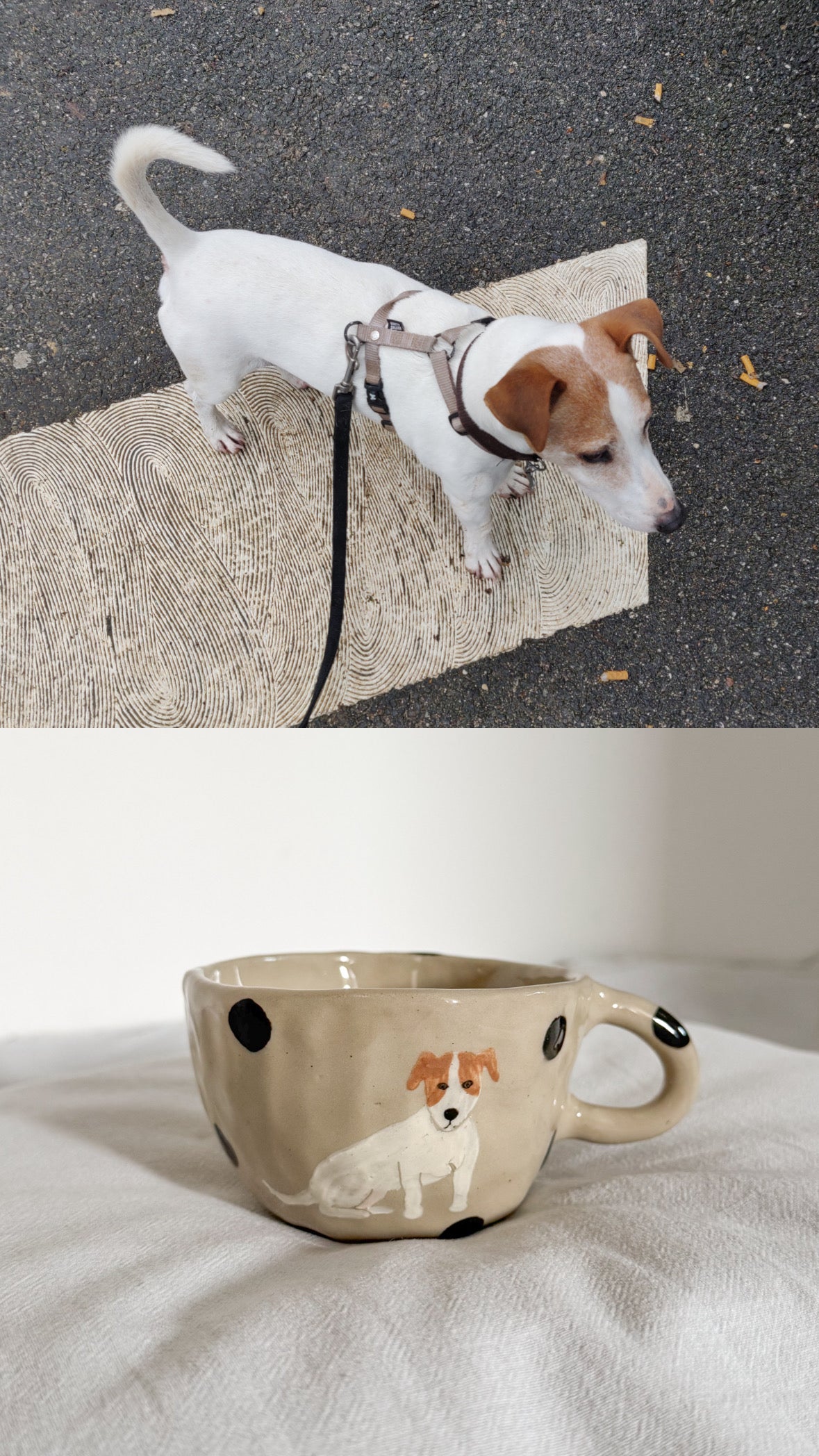 Personnalise une tasse avec ton animal !