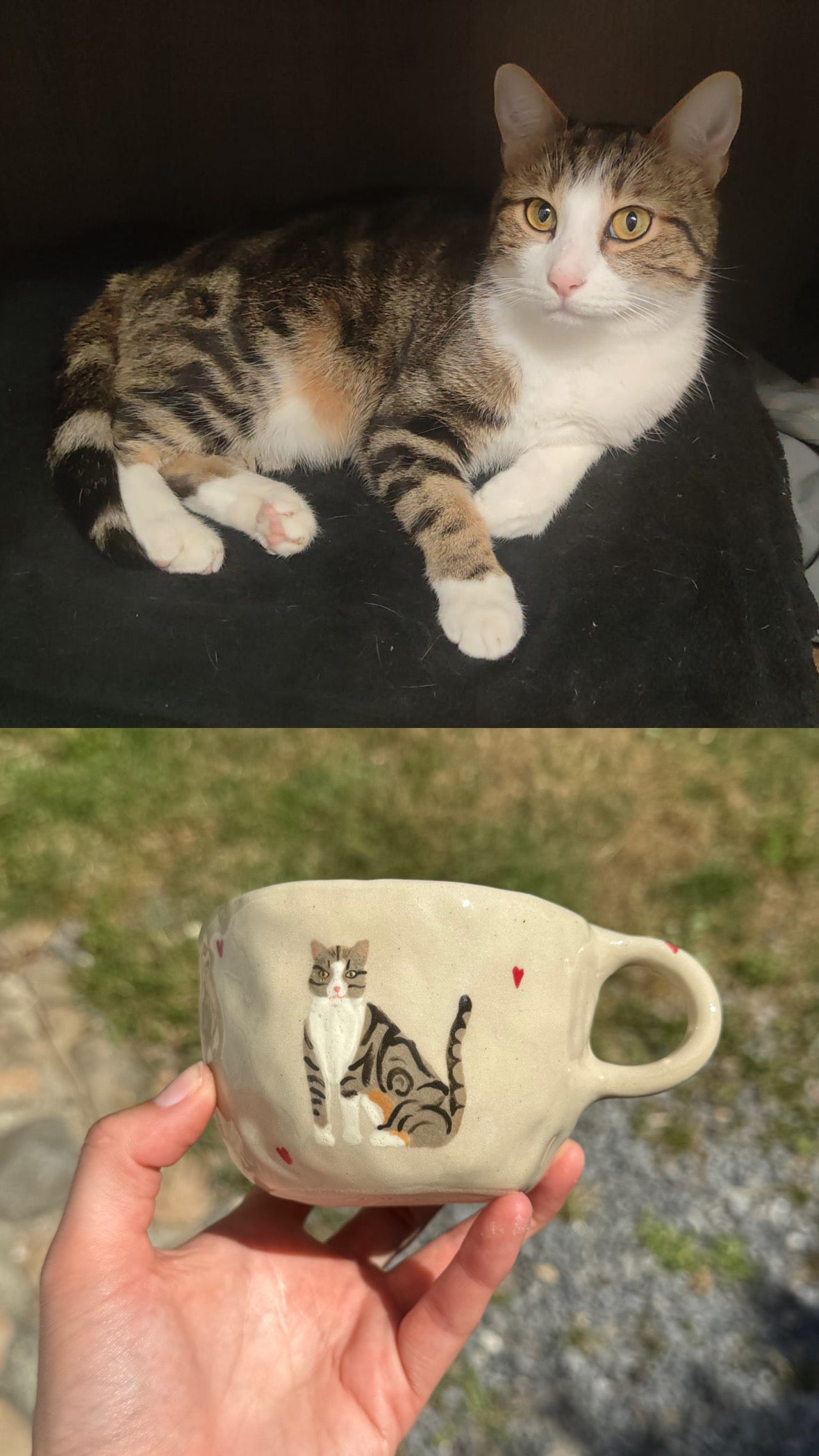 Tasse personnalisée 2 animaux