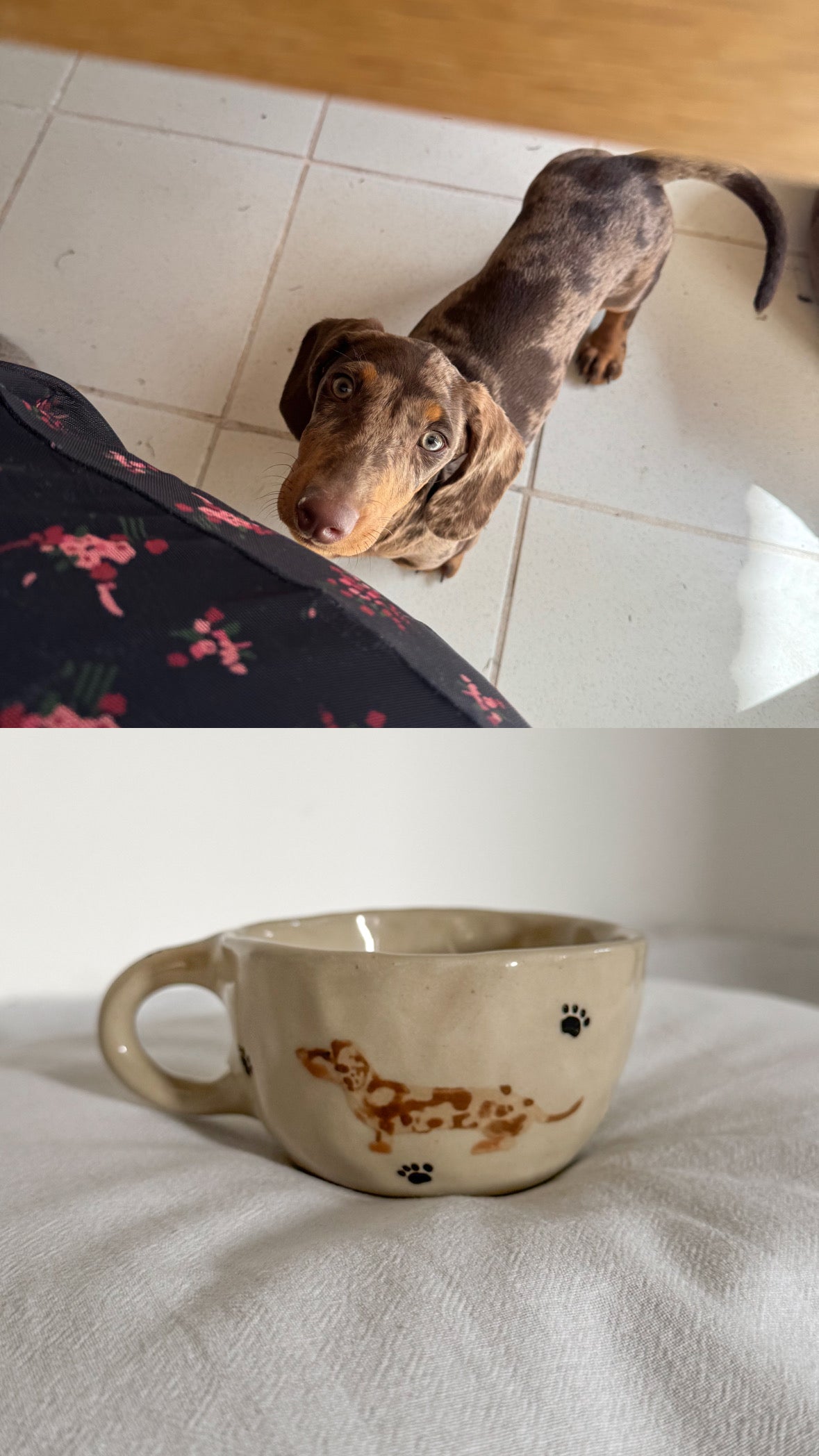 Personnalise une tasse avec ton animal !