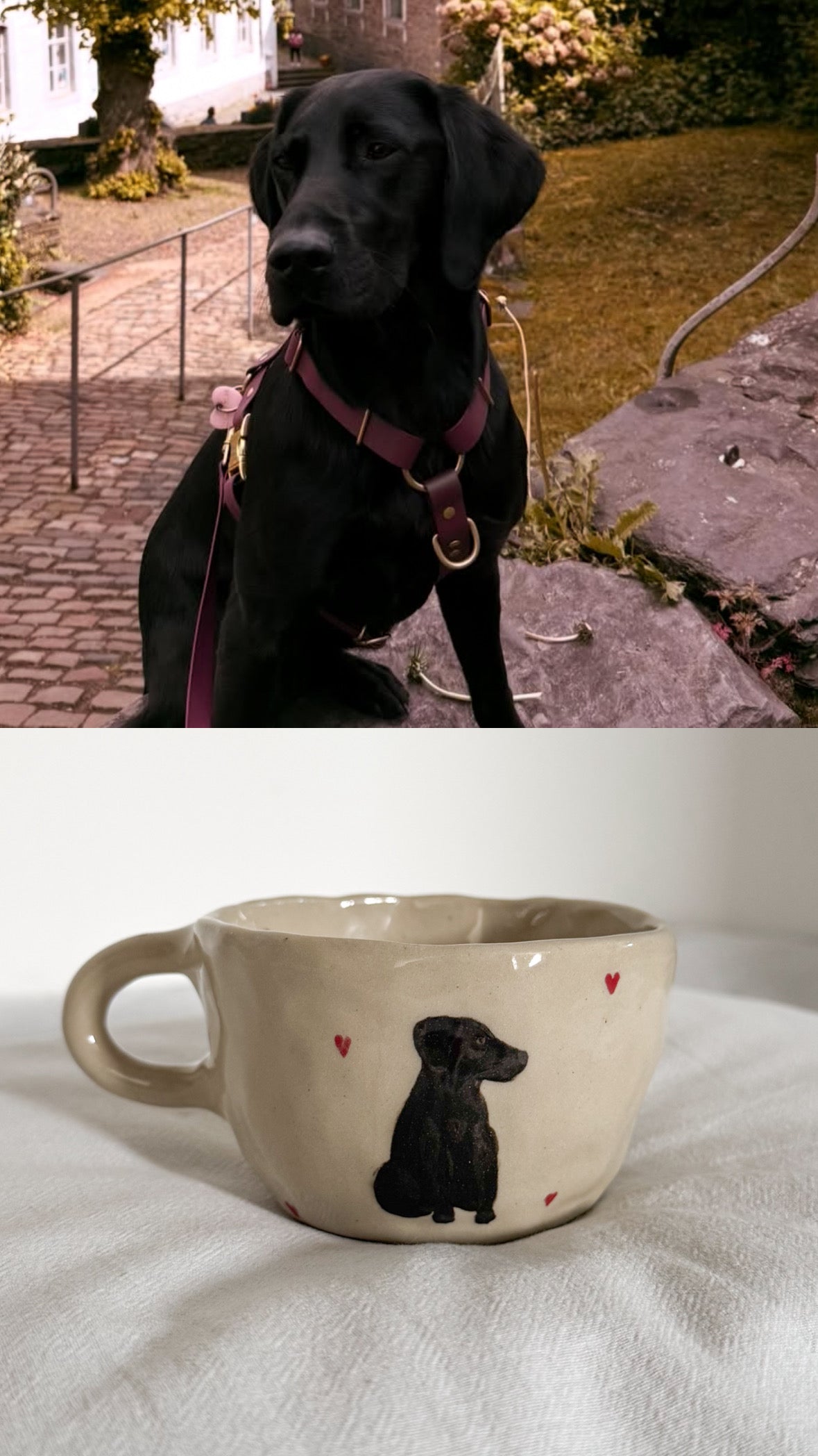 Personnalise une tasse avec ton animal !