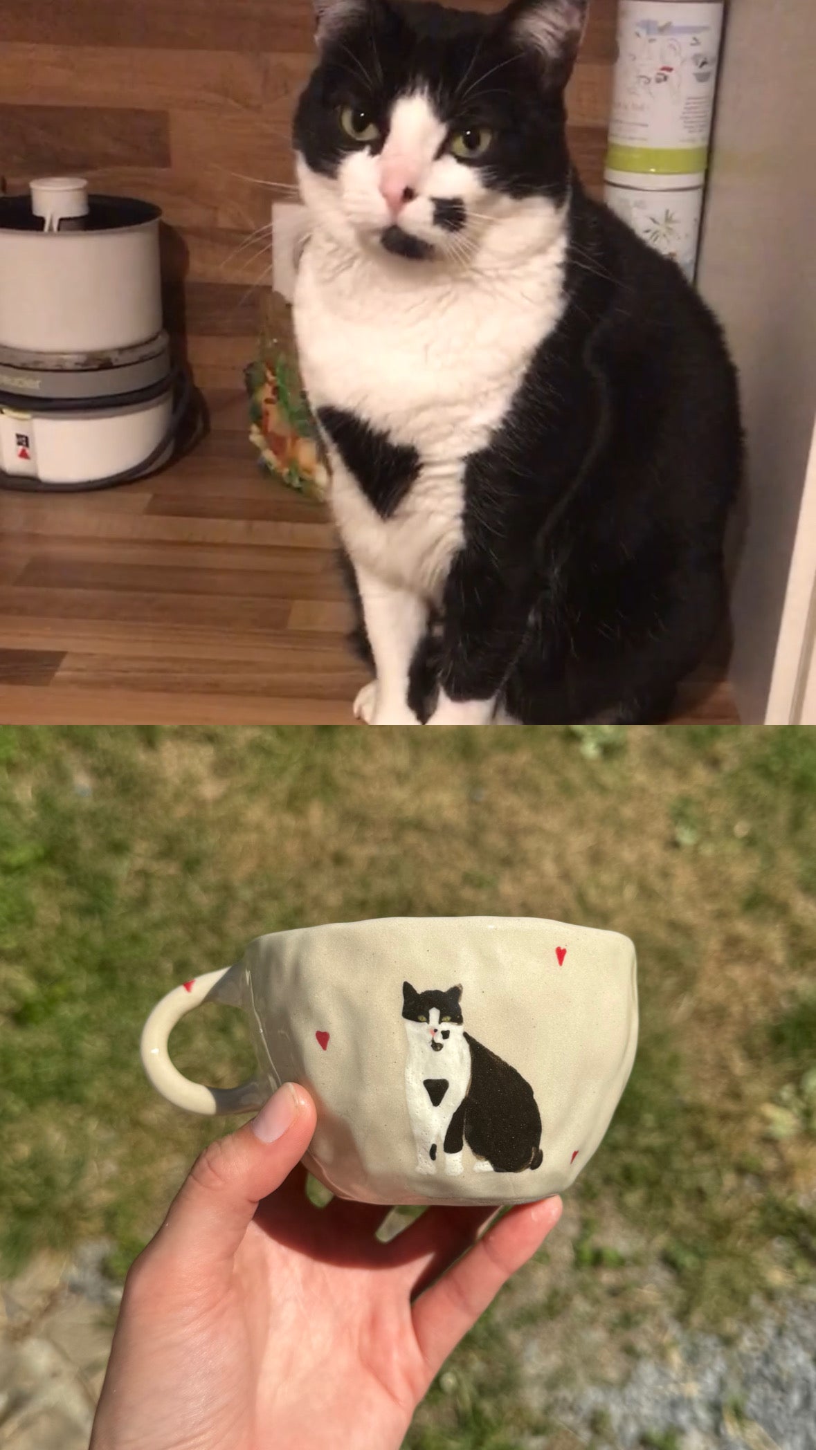 Tasse personnalisée 2 animaux