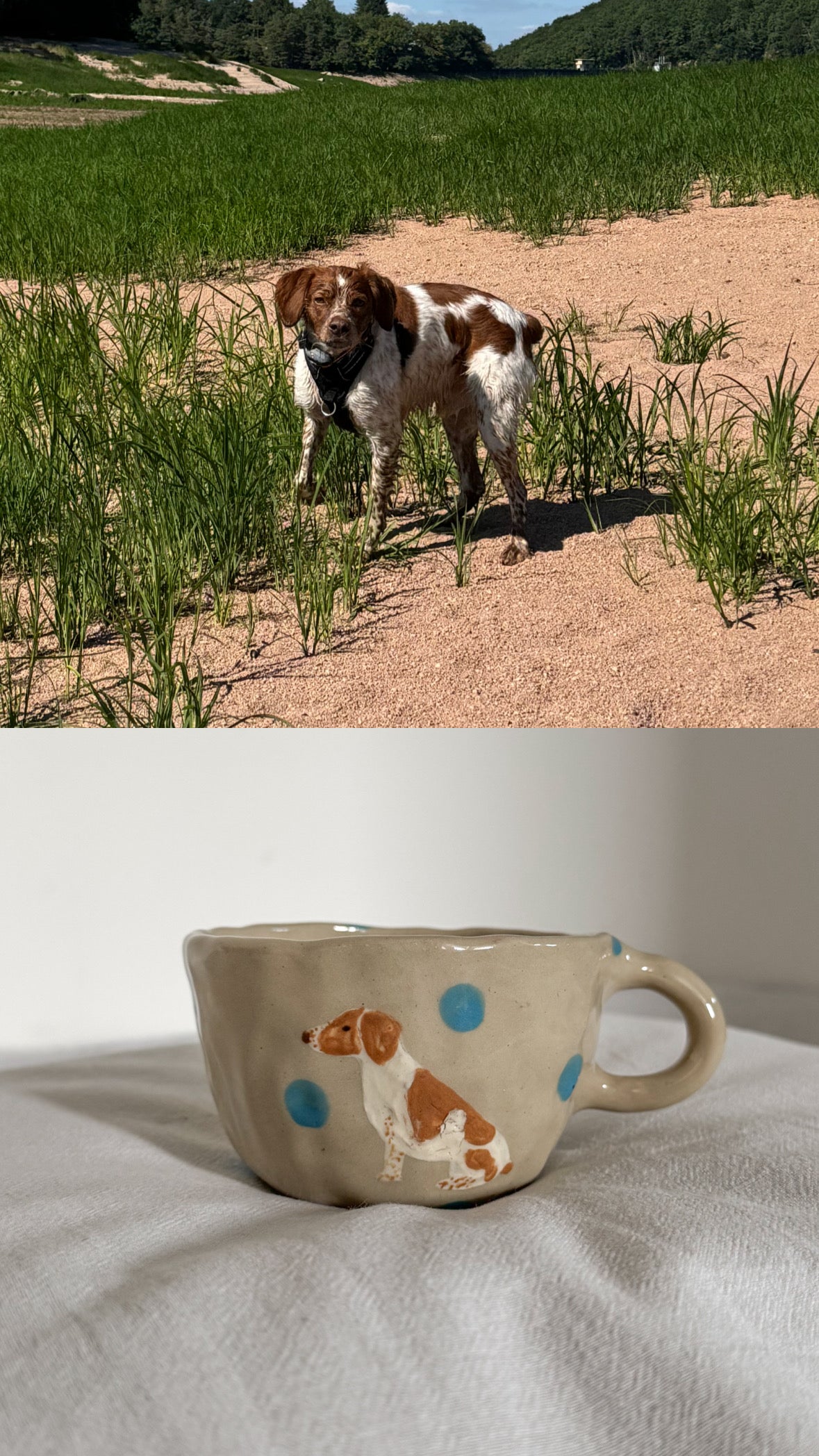Personnalise une tasse avec ton animal !