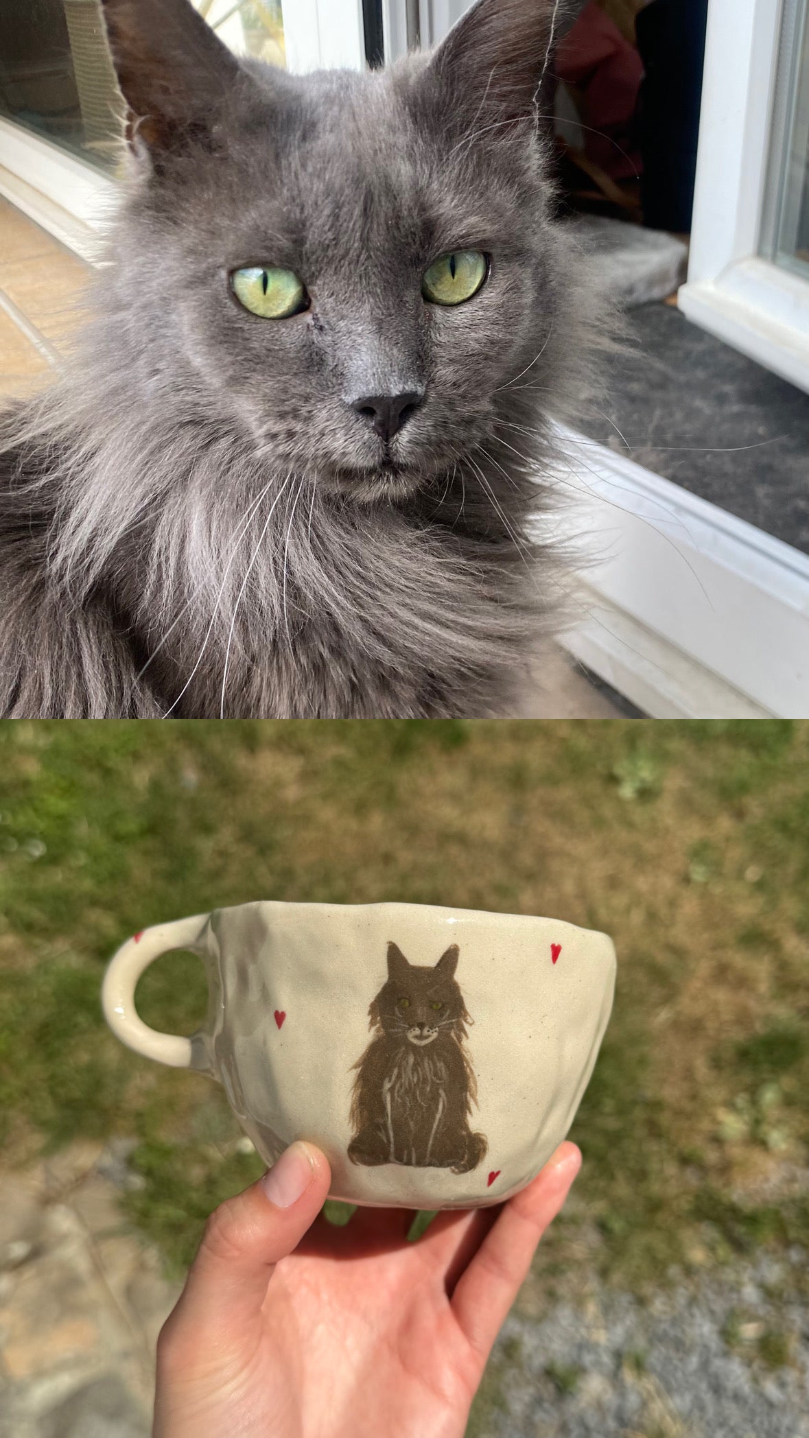 Tasse personnalisée 2 animaux