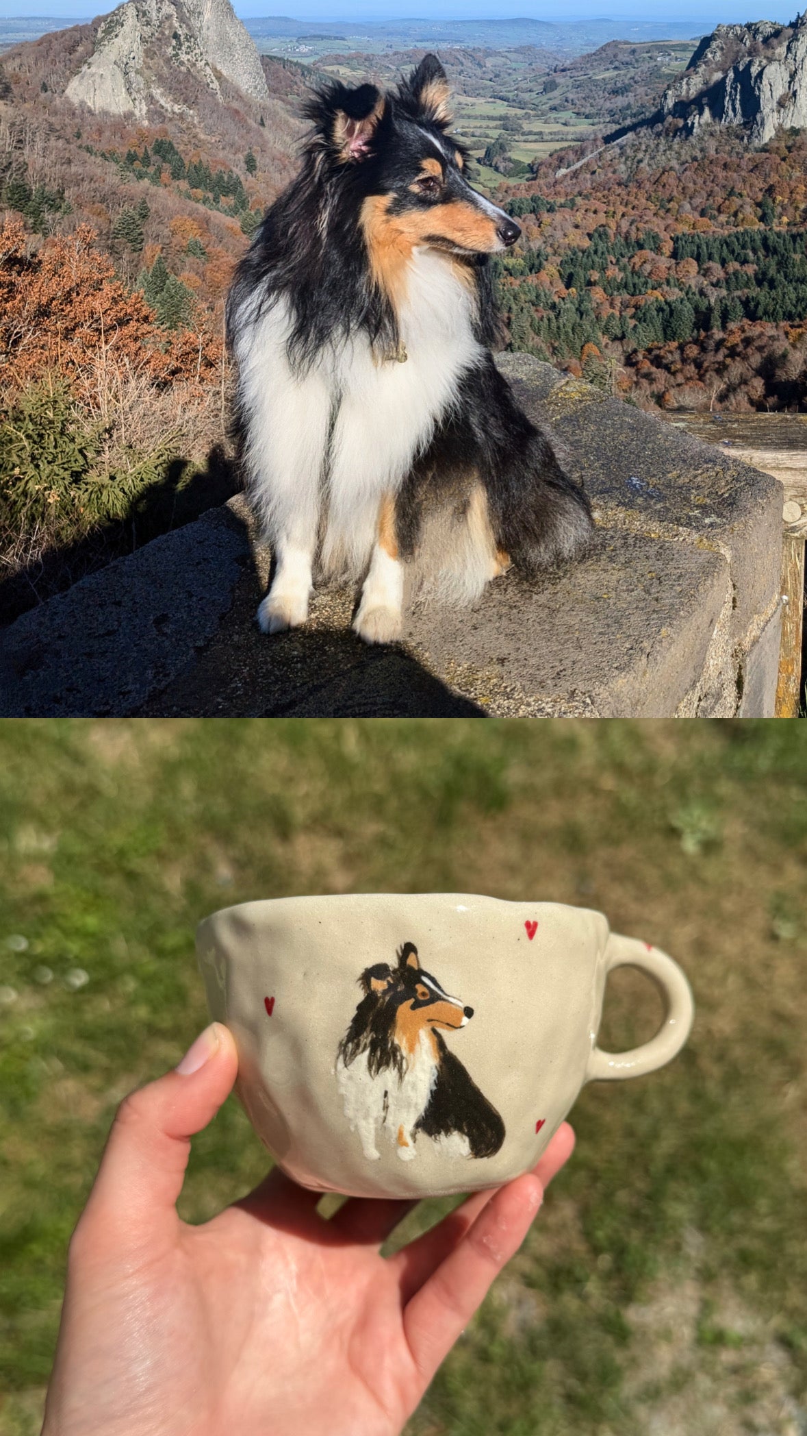Tasse personnalisée 2 animaux